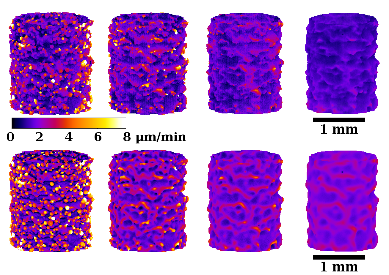 Local etching velocity on EBM TA6V struts : comparision of experiments and model. 