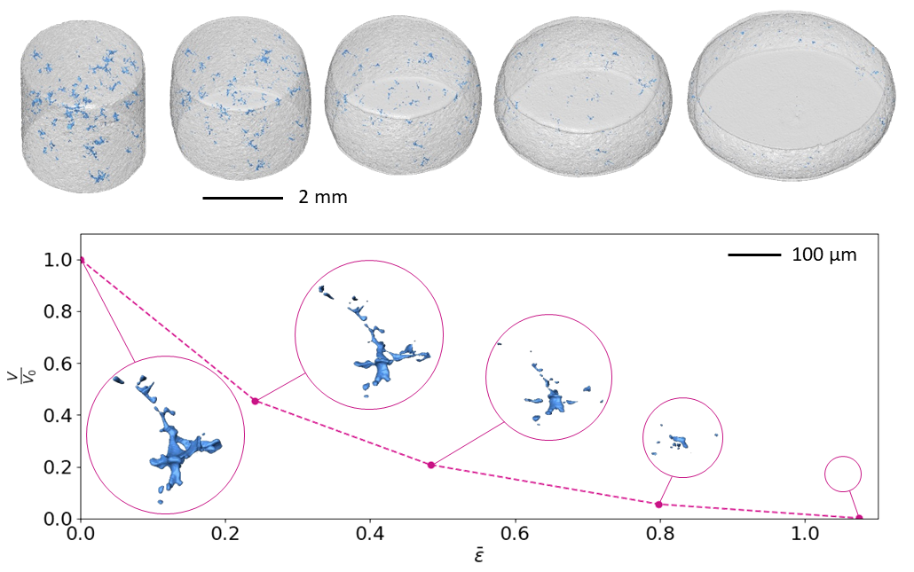 En haut: Vue 3D de l'évolution de la porosité (en bleu) au cours de la compression à chaud d'un échantillon cylindrique d'alliage d'aluminium. Bas: Evolution du volume d'un pore au cours de sa fermeture