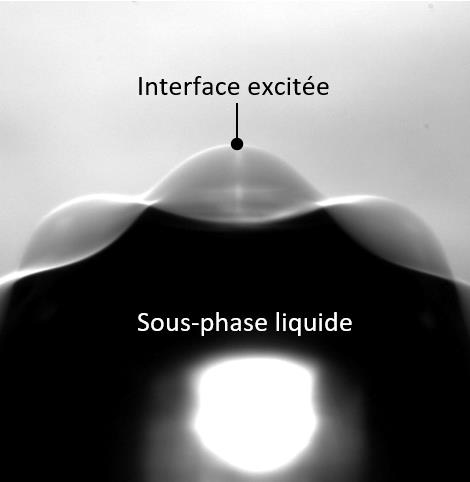 SIMaP PhD interferometry