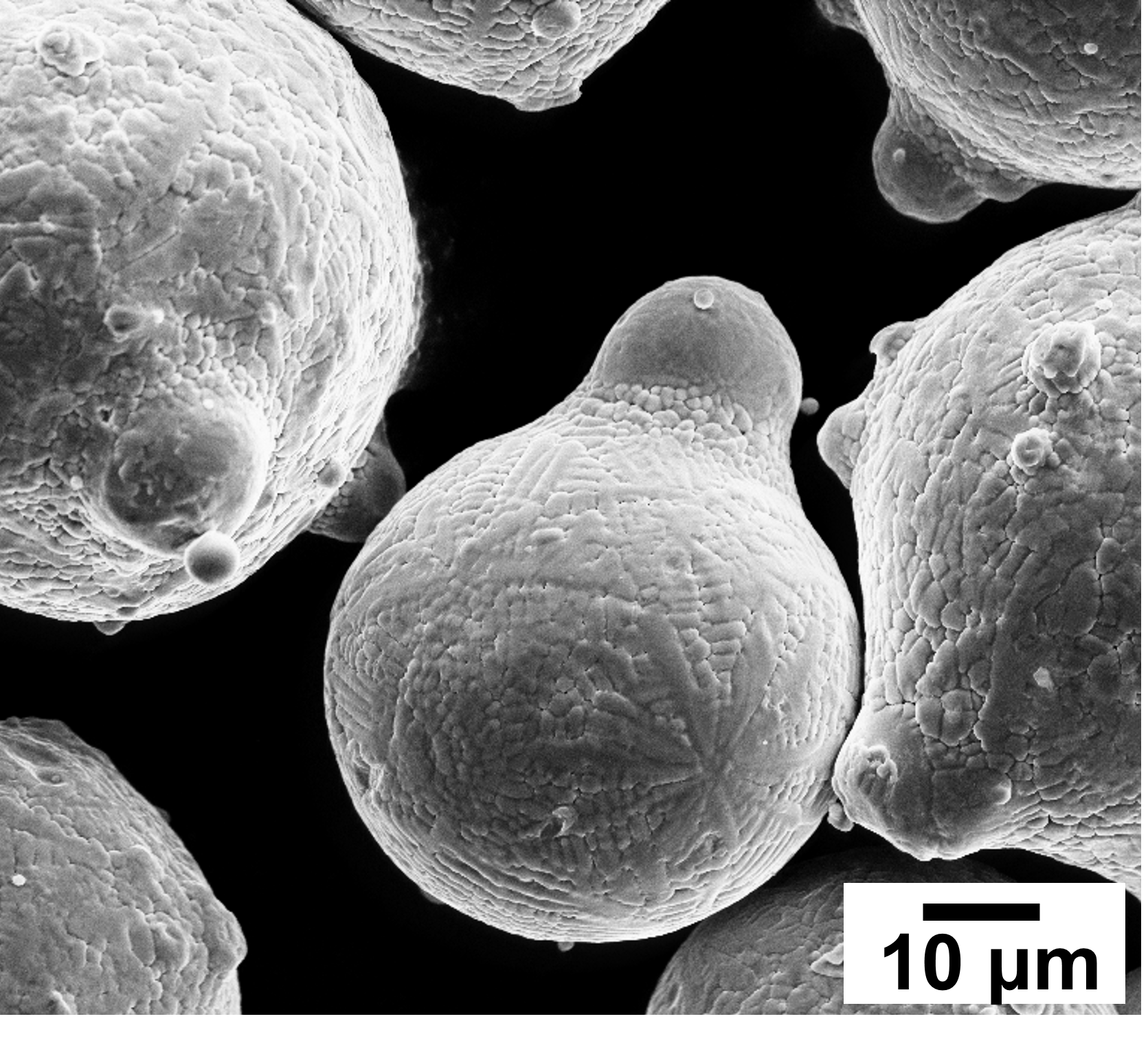 Powder morphology