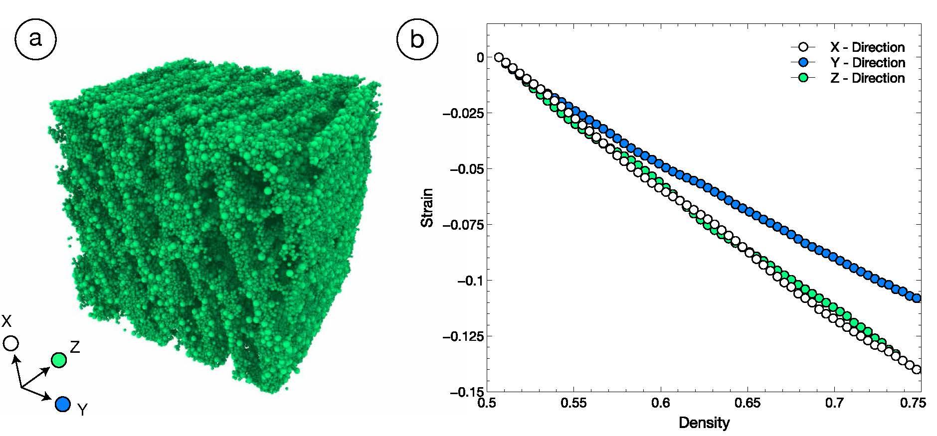 Anisotropic sintering 