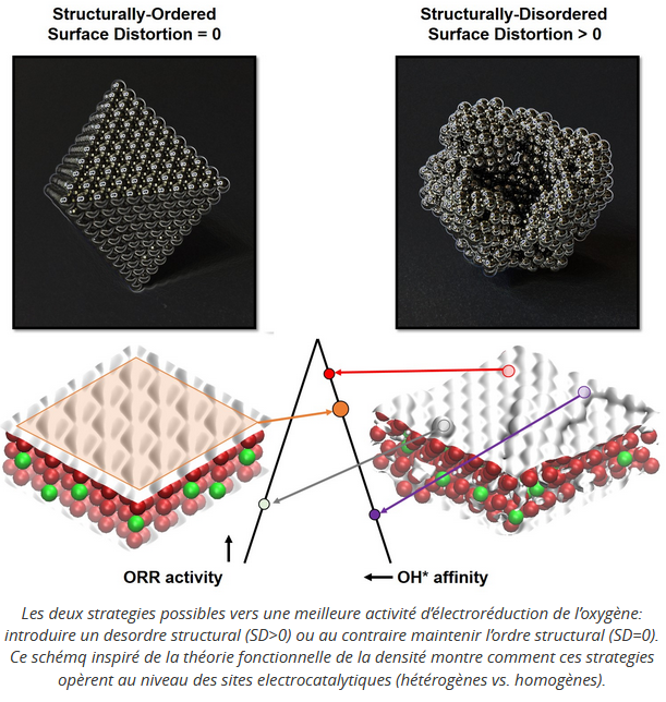 surface distortion descriptor